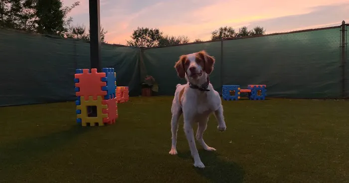 Heartland Veterinary and Boarding Picture 8