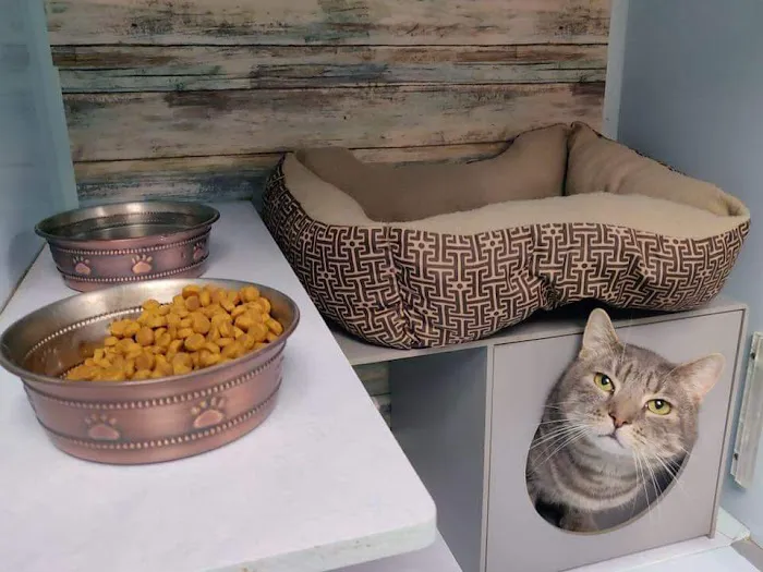 Heartland Veterinary and Boarding Picture 9