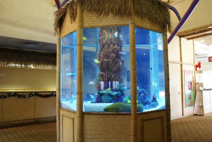 SeaClear Aquarium Management Picture 4