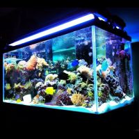 SeaClear Aquarium Management ico