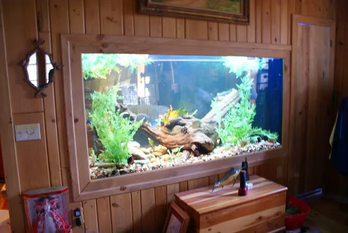 SeaClear Aquarium Management Picture 3