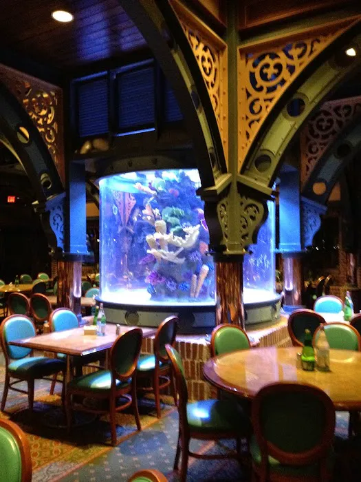 SeaClear Aquarium Management Picture 7