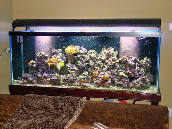 SeaClear Aquarium Management Picture 10