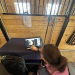 Walnridge Equine Clinic