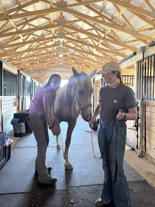 Walnridge Equine Clinic Picture 5