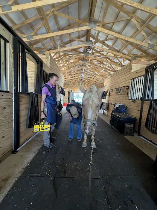 Walnridge Equine Clinic Picture 7