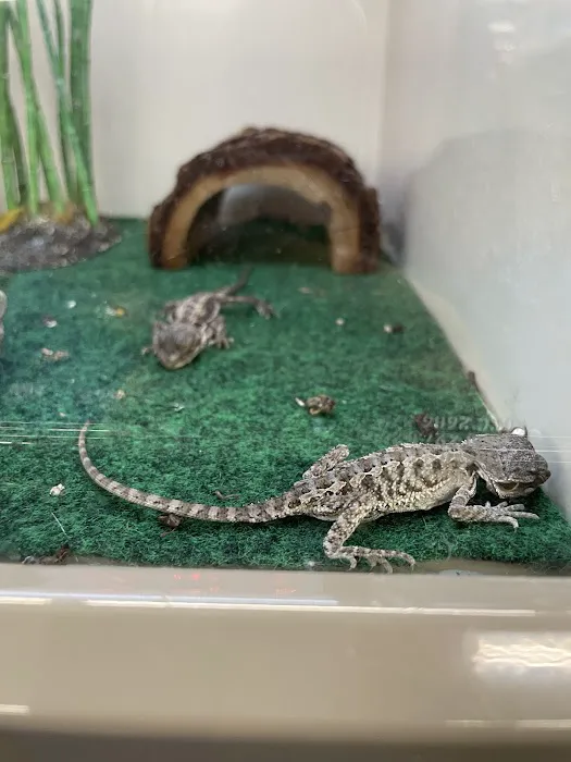 Pet Supplies Plus Sanford Picture 2