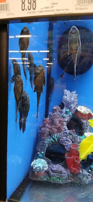 Pet Supplies Plus Sanford Picture 4