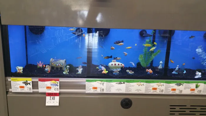 Pet Supplies Plus Sanford Picture 5