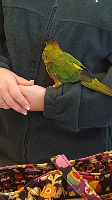 Pet Supplies Plus Sanford Picture 3