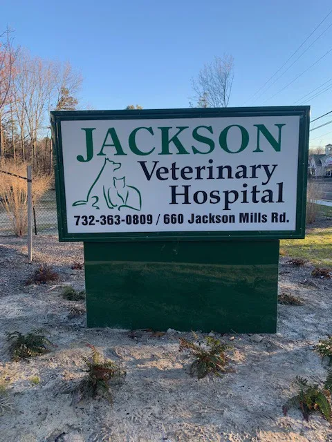 Jackson Veterinary Hospital Picture 8