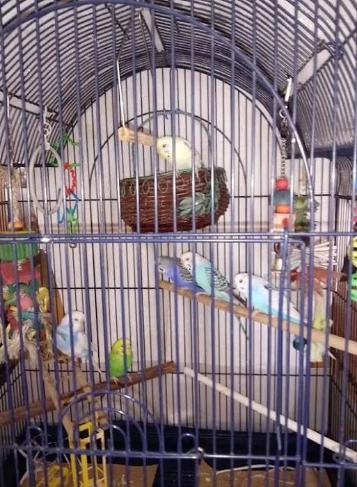 Leesburg Pet Center Picture 5