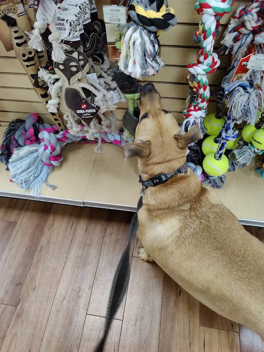 Pet Supermarket Picture 10
