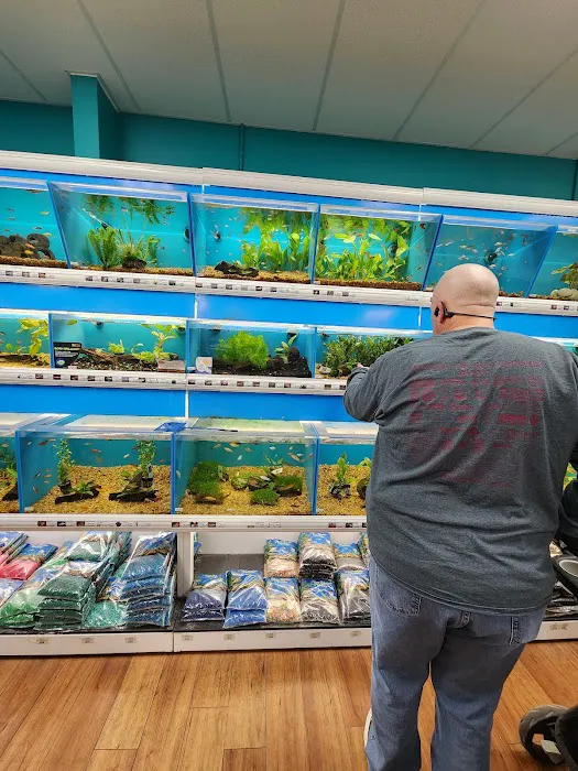 Pet Supermarket Picture 2