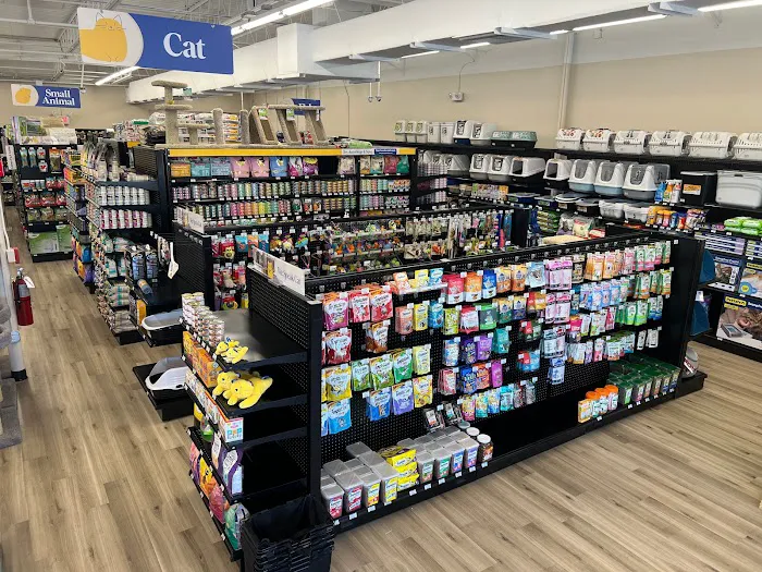 Pet Supermarket Picture 8