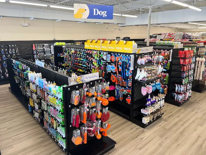 Pet Supermarket Picture 6