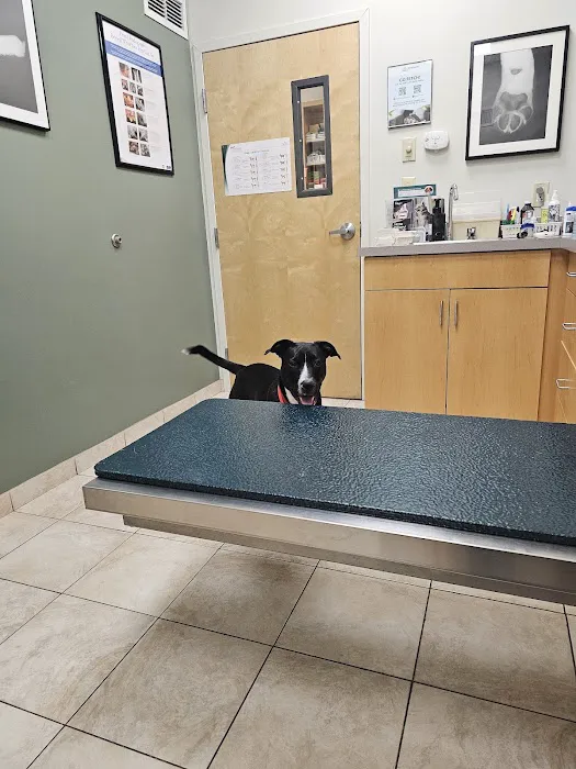South Branch Veterinary Services Picture 3