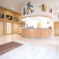 South Branch Veterinary Services ico