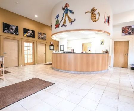 South Branch Veterinary Services