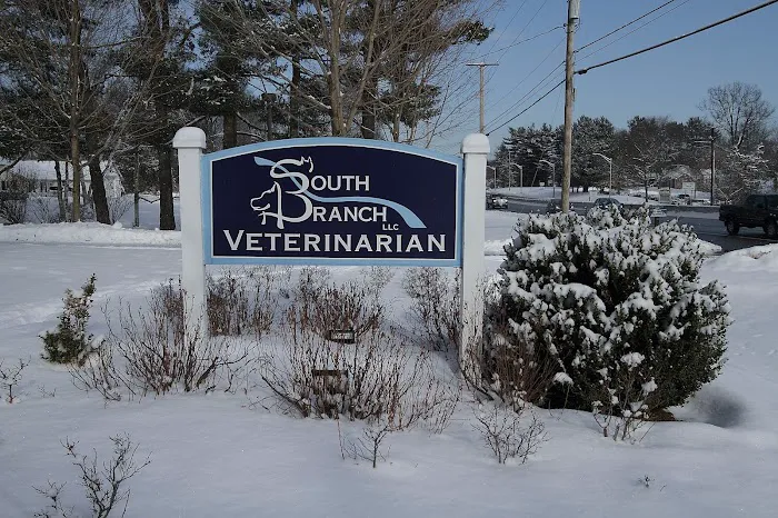South Branch Veterinary Services Picture 6