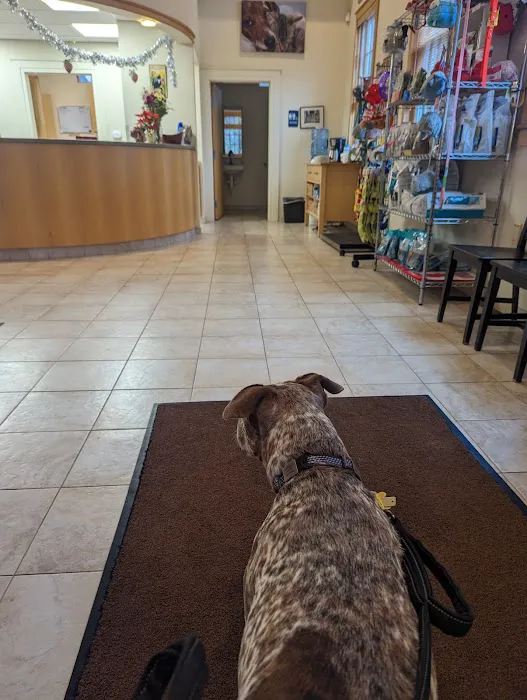 South Branch Veterinary Services Picture 5
