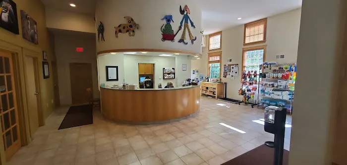 South Branch Veterinary Services Picture 4