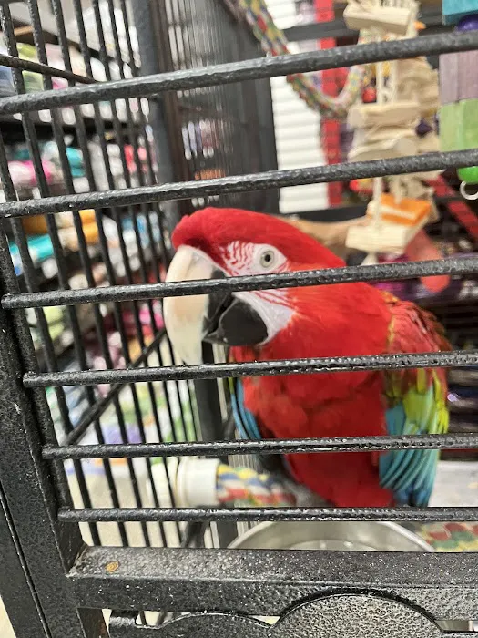 Pet World - Auburndale Picture 2