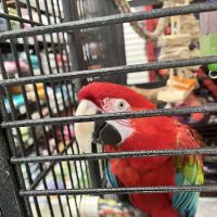 Pet World - Auburndale ico