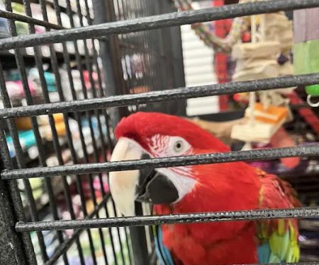 Pet World - Auburndale