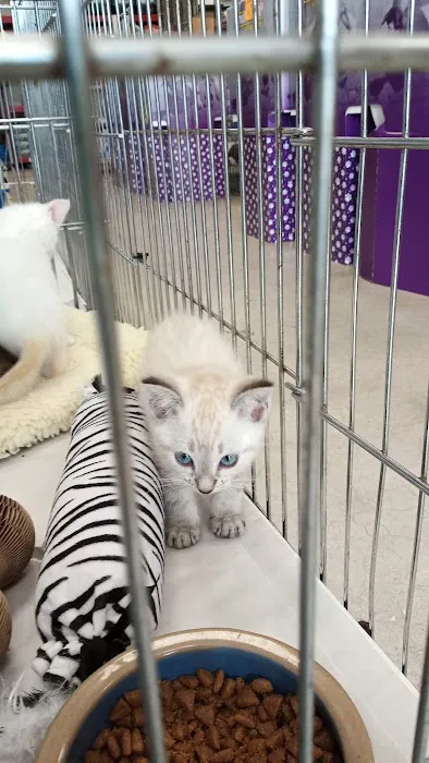 Pet World - Auburndale Picture 7