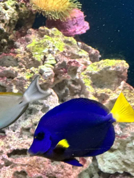 Fishtastic Aquarium Picture 1