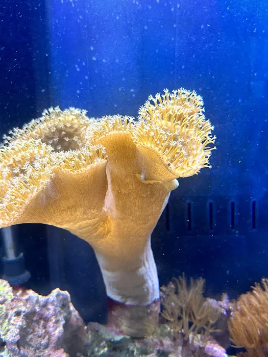 Fishtastic Aquarium Picture 2