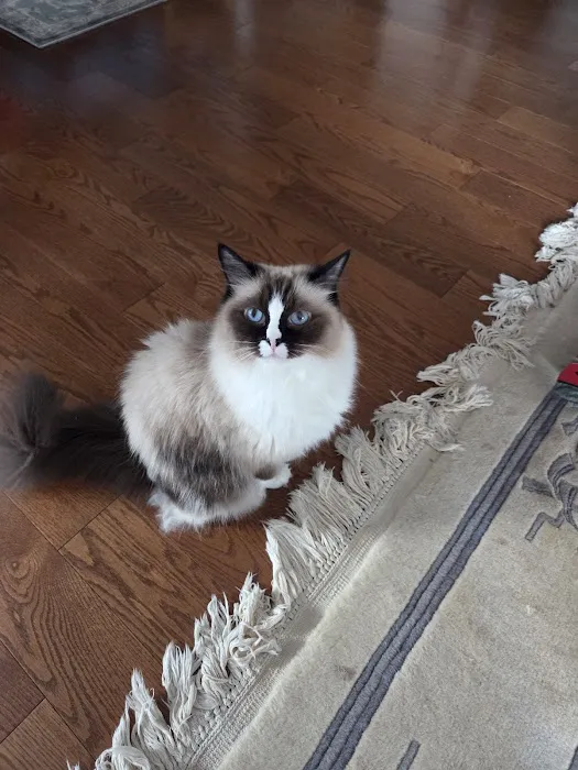 Hopewell Veterinary Group Inc Picture 6