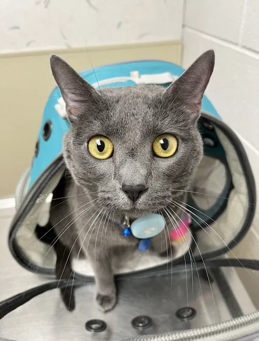 Hopewell Veterinary Group Inc Picture 1