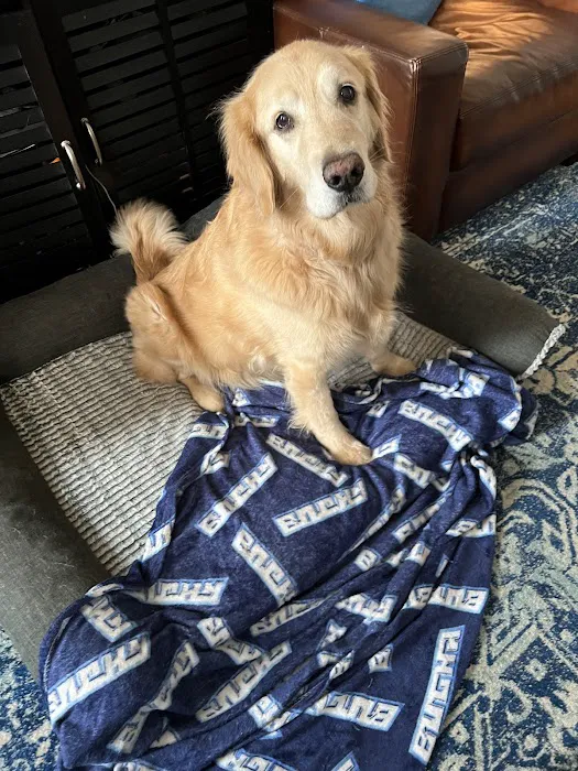 Hopewell Veterinary Group Inc Picture 9