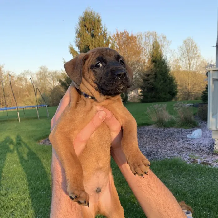 Pennington Veterinary Clinic Picture 2