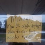 Deez pet thrift store