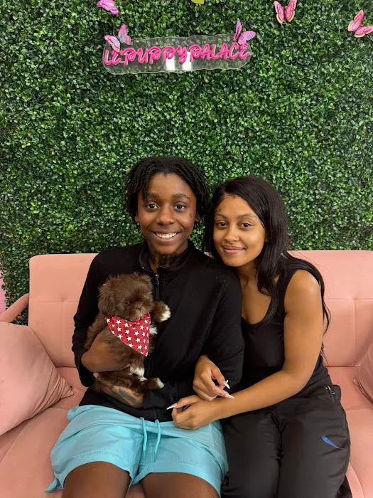 Le'Puppy Palace Picture 7