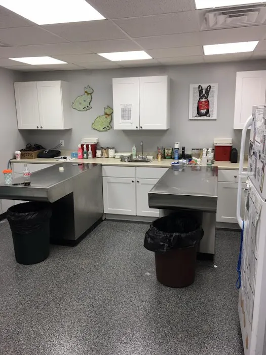 Budd Lake Animal Hospital Picture 7