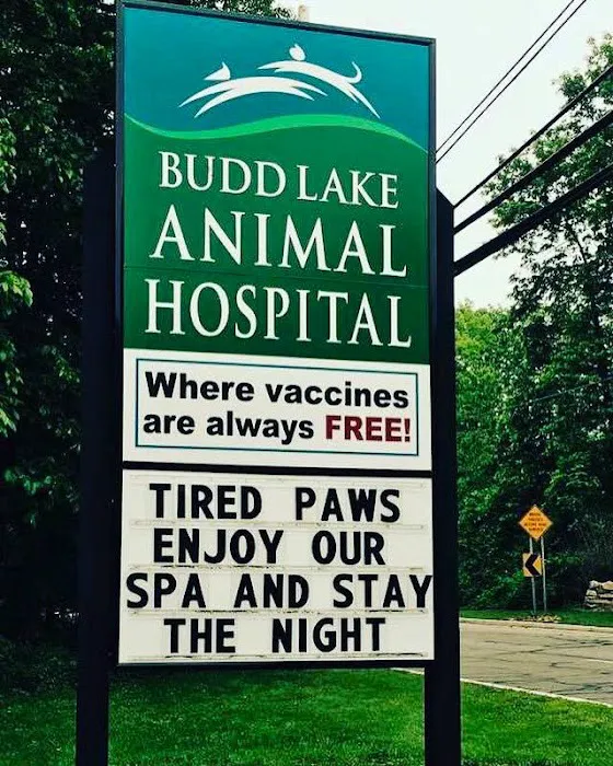 Budd Lake Animal Hospital Picture 4