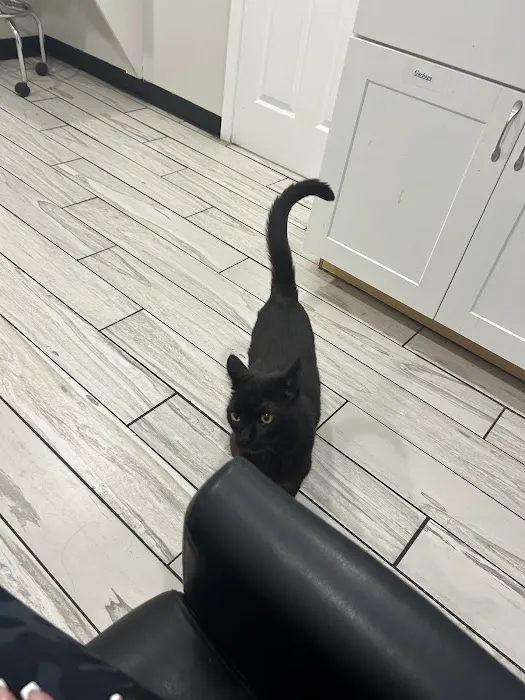 Budd Lake Animal Hospital Picture 3