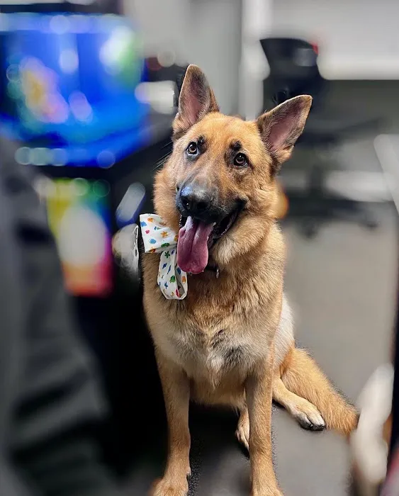 Budd Lake Animal Hospital Picture 8