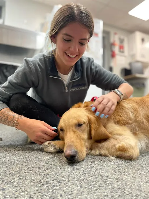 Budd Lake Animal Hospital Picture 2