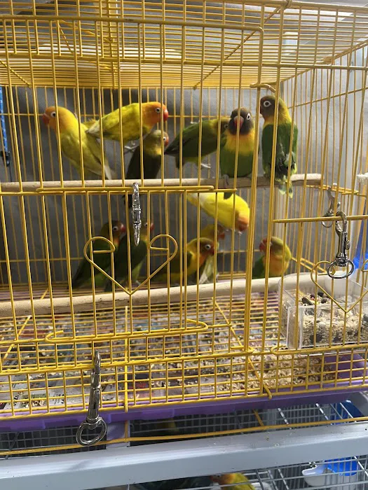 Kingdom Of Pets Inc Picture 1