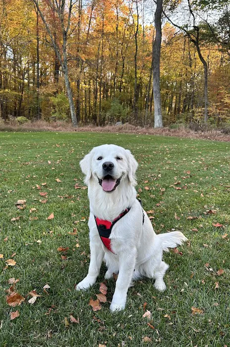 Hackettstown Animal Hospital Picture 1