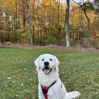 Hackettstown Animal Hospital ico