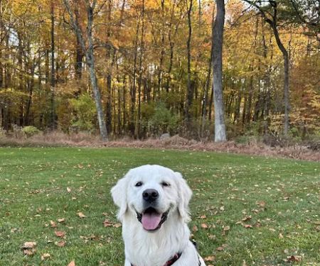 Hackettstown Animal Hospital