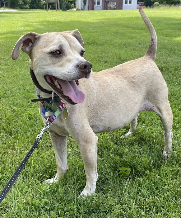 Hackettstown Animal Hospital Picture 3