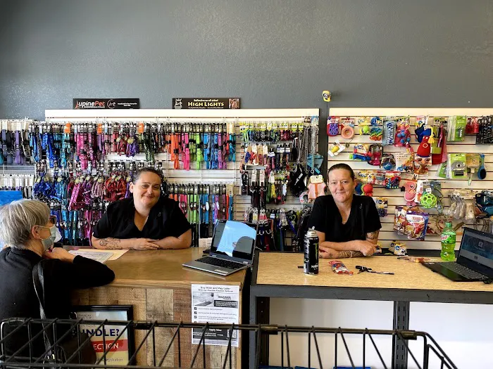 Puppy Boutique of Bartow Picture 5