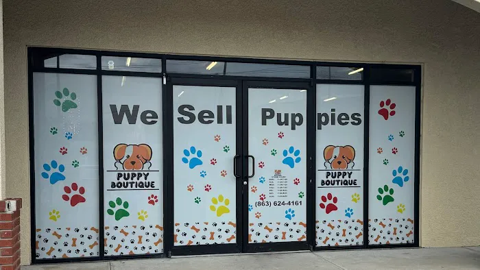 Puppy Boutique of Bartow Picture 9